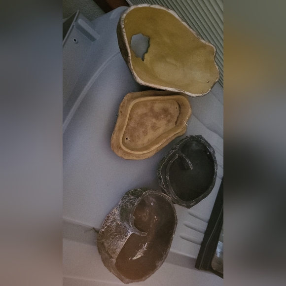 Small snake hides - Picture 2 of 2